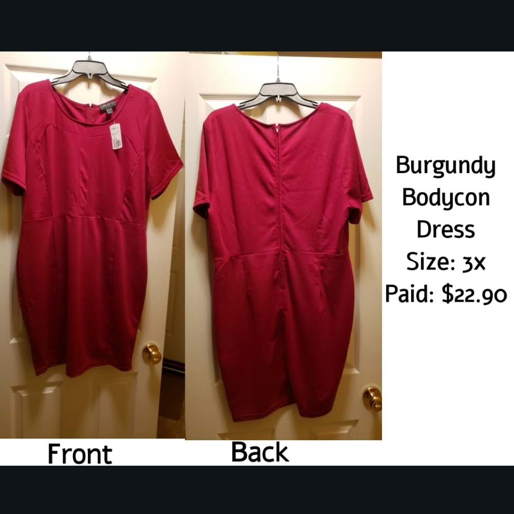 Fashion Nova Bodycon Dress